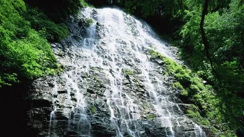 高性能智慧高性能